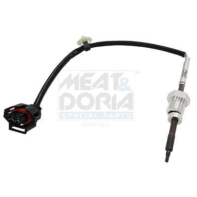 Abgas-Temperatursensor