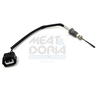 Abgas-Temperatursensor