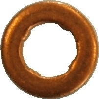 Dichtring, Düsenhalter