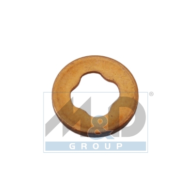 Dichtring, Einspritzventil