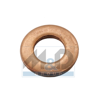 Dichtring, Einspritzventil