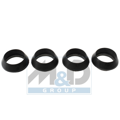 Dichtring, Einspritzventil