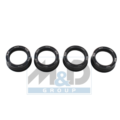 Dichtring, Einspritzventil