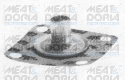 Membrane