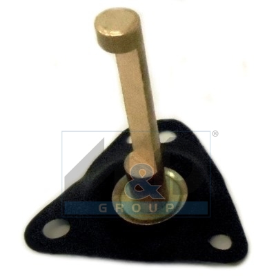 Membrane