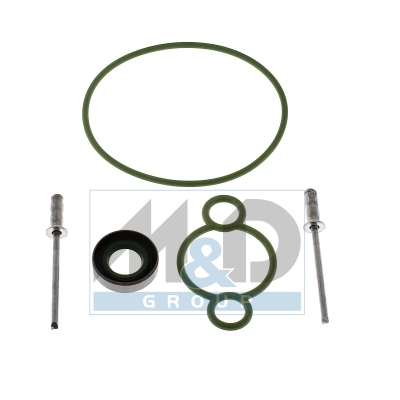 Reparatursatz, Common-Rail-System