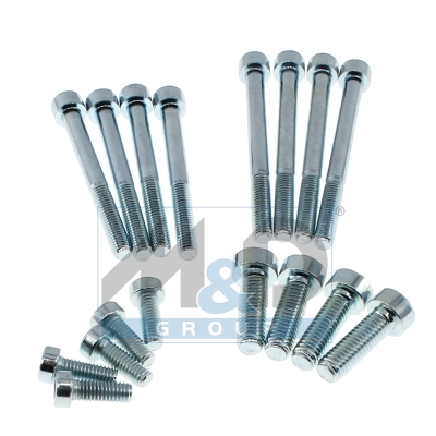 Reparatursatz, Common-Rail-System