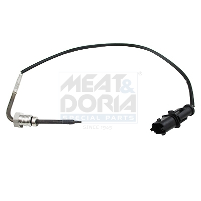 Sensor, Abgastemperatur