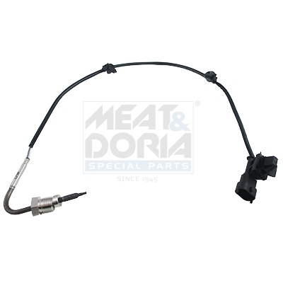 Sensor, Abgastemperatur