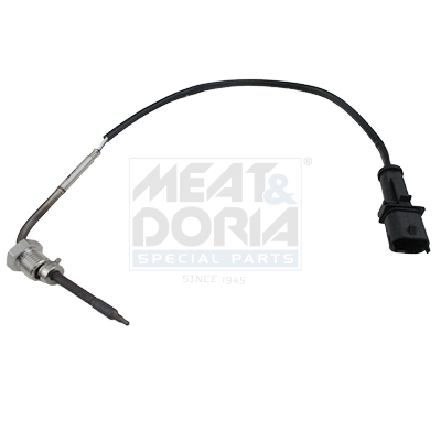 Sensor, Abgastemperatur