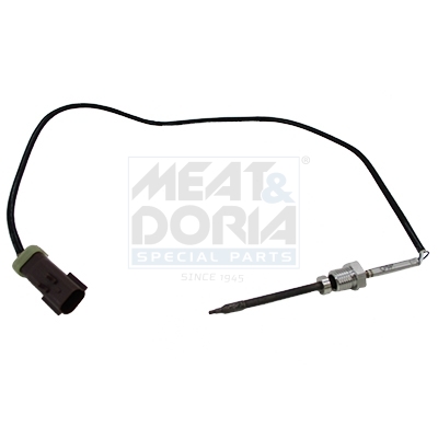 Sensor, Abgastemperatur