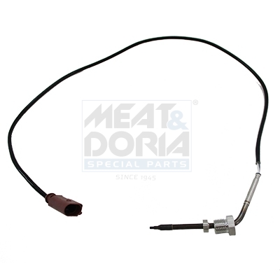 Sensor, Abgastemperatur