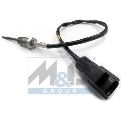 Sensor, Abgastemperatur