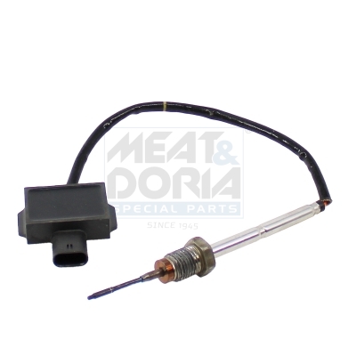 Sensor, Abgastemperatur