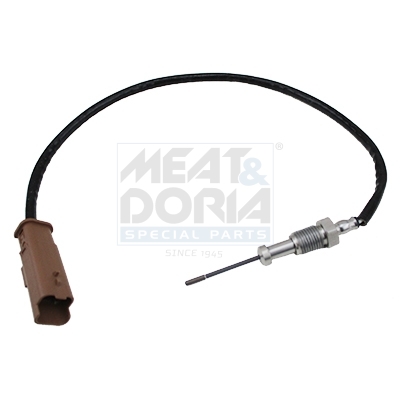 Sensor, Abgastemperatur
