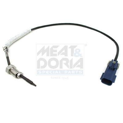 Sensor, Abgastemperatur