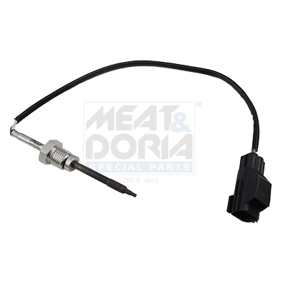 Sensor, Abgastemperatur