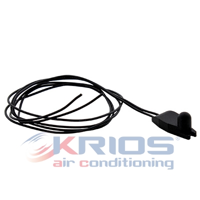 Sensor, Innenraumtemperatur