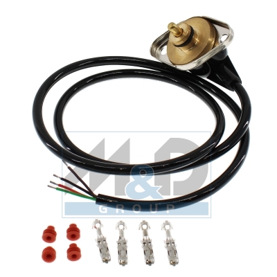 Sensor, Kraftstoffdruck