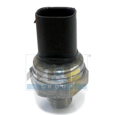 Sensor, Kraftstoffdruck