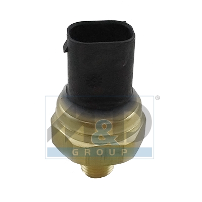 Sensor, Kraftstoffdruck