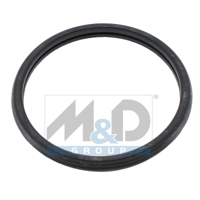 Dichtung, Thermostat