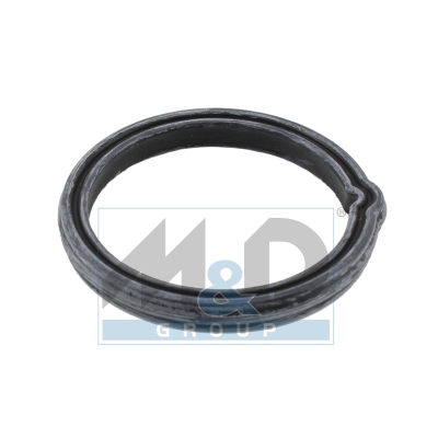 Dichtung, Thermostat