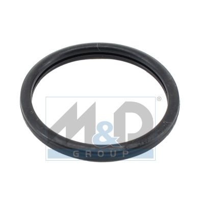 Dichtung, Thermostat