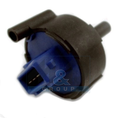 Wassersensor, Kraftstoffanlage