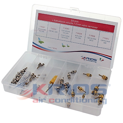 [K79341] Kit Ventil mit Auszieher