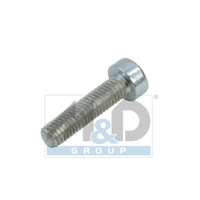 [981177] Bolzen/Schraube für CP3 Pumpen (25 Stück Kit)