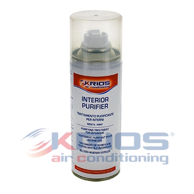 [K171036] Desinfektionsmittel AUTO/CAMPER/CAB