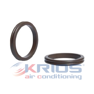 [K79263] O-Ring doppelt RENAULT 2-7701207274