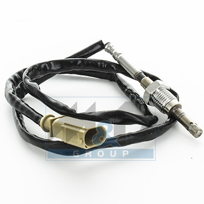 [12411] Sensor, Abgastemperatur