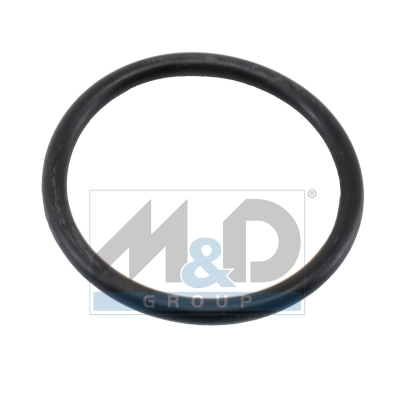 [01699] Dichtung, Thermostat