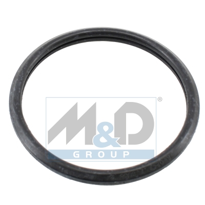 [01685] Dichtung, Thermostat