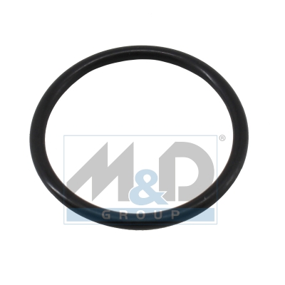 [01665] Dichtung, Thermostat