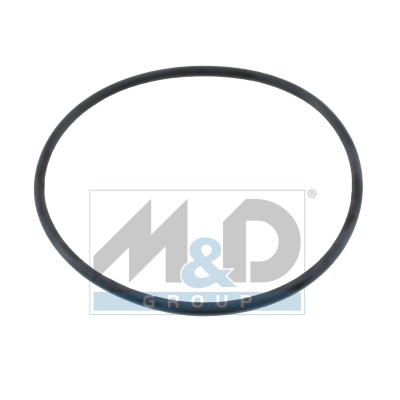 [01655] Dichtung, Thermostat