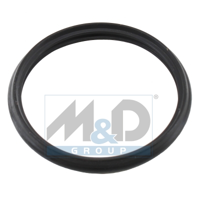 [016110] Dichtung, Thermostat