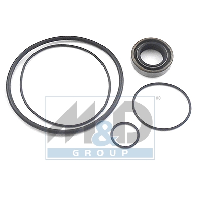 [37006] Dichtungssatz, Hydraulikpumpe