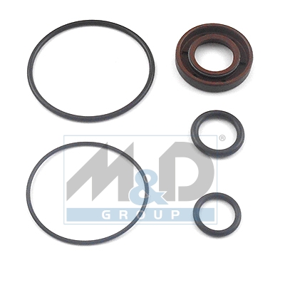 [37003] Dichtungssatz, Hydraulikpumpe