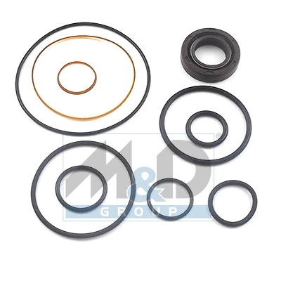[37034] Dichtungssatz, Hydraulikpumpe