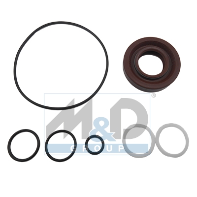 [37023] Dichtungssatz, Hydraulikpumpe