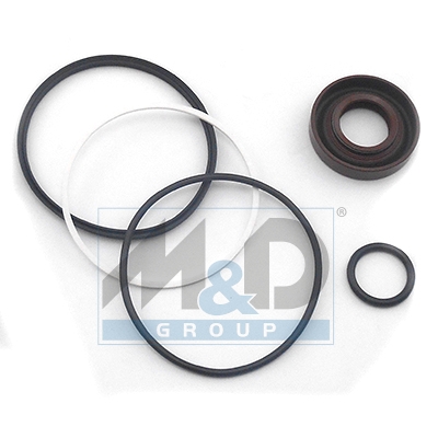 [37018] Dichtungssatz, Hydraulikpumpe