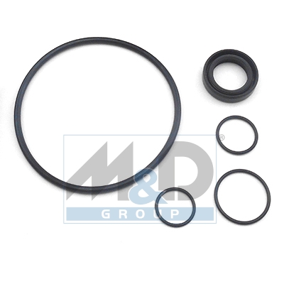 [37010] Dichtungssatz, Hydraulikpumpe