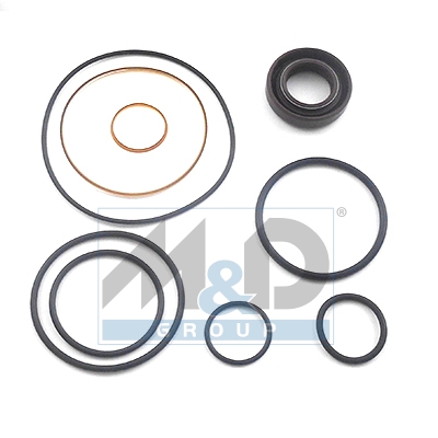 [37070] Dichtungssatz, Hydraulikpumpe