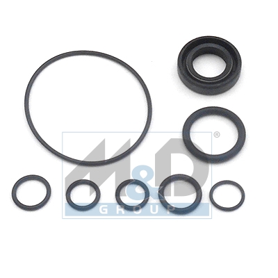 [37063] Dichtungssatz, Hydraulikpumpe