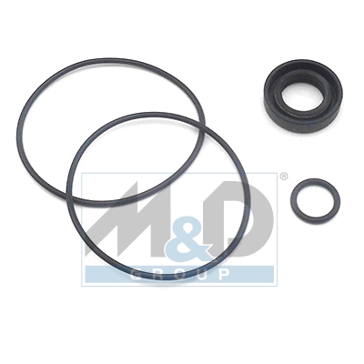 [37008] Dichtungssatz, Hydraulikpumpe