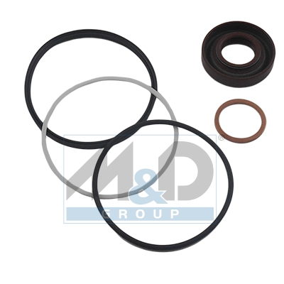 [37043] Dichtungssatz, Hydraulikpumpe