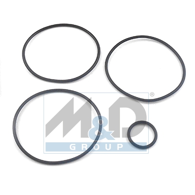 [37009] Dichtungssatz, Hydraulikpumpe